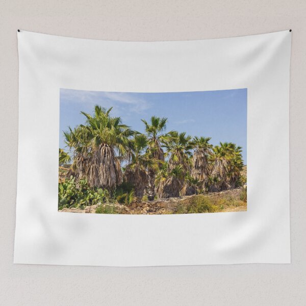 Item preview, Sunlit Palm Grove With Dry Fronds and Rustic Stone Wall in Arid Mediterranean Landscape designed and sold by Nmallia.