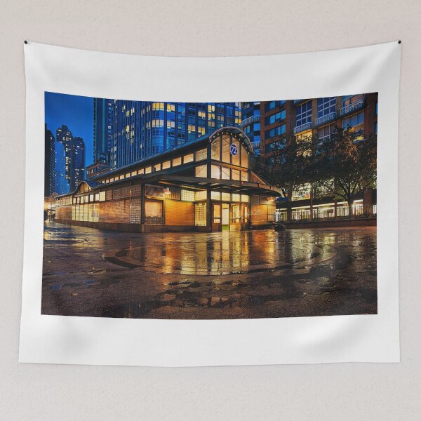 Item preview, Night Scene at 72nd Street Station designed and sold by Gerard Fornarotto.