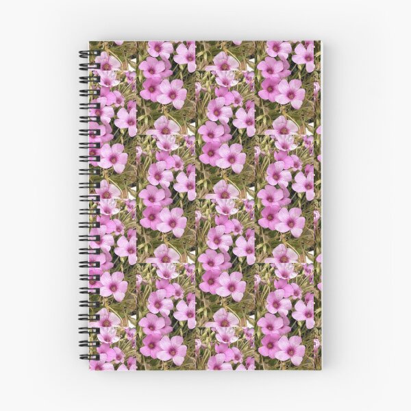 Item preview, Vibrant Pink Oxalis Blossoms Isolated on White designed and sold by BalkanBloomArt.