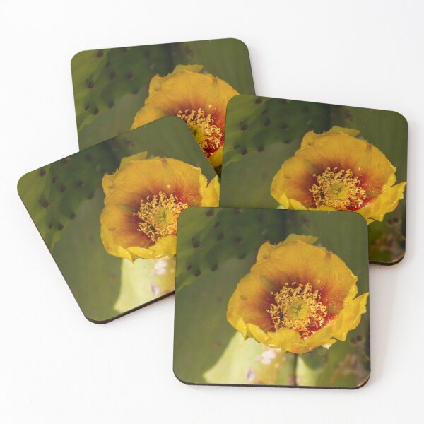 Item preview, Close-Up Yellow Prickly Pear Cactus Flower Blooming on Green Desert Pad in Sunlight designed and sold by Nmallia.