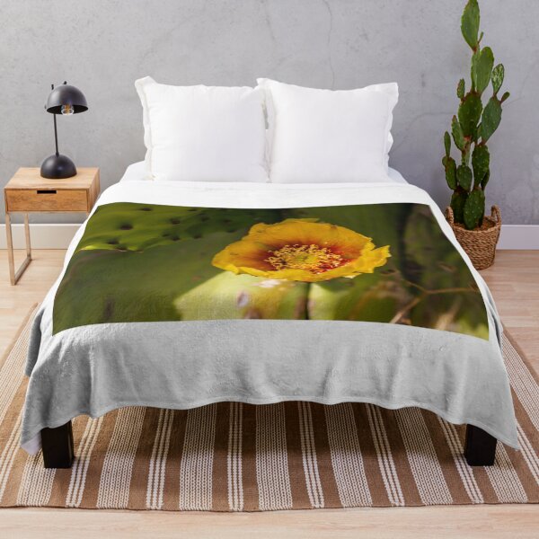 Item preview, Close-Up Yellow Prickly Pear Cactus Flower Blooming on Green Desert Pad in Sunlight designed and sold by Nmallia.