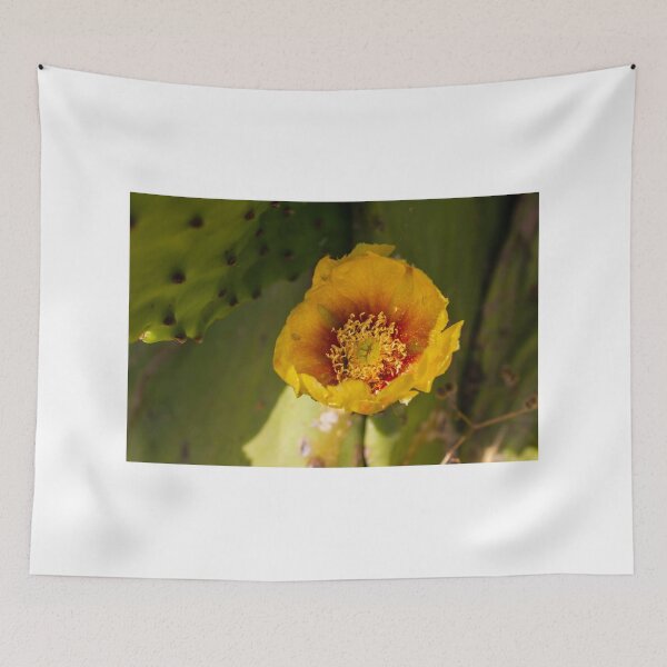 Item preview, Close-Up Yellow Prickly Pear Cactus Flower Blooming on Green Desert Pad in Sunlight designed and sold by Nmallia.