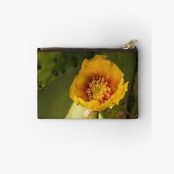 Item preview, Close-Up Yellow Prickly Pear Cactus Flower Blooming on Green Desert Pad in Sunlight designed and sold by Nmallia.