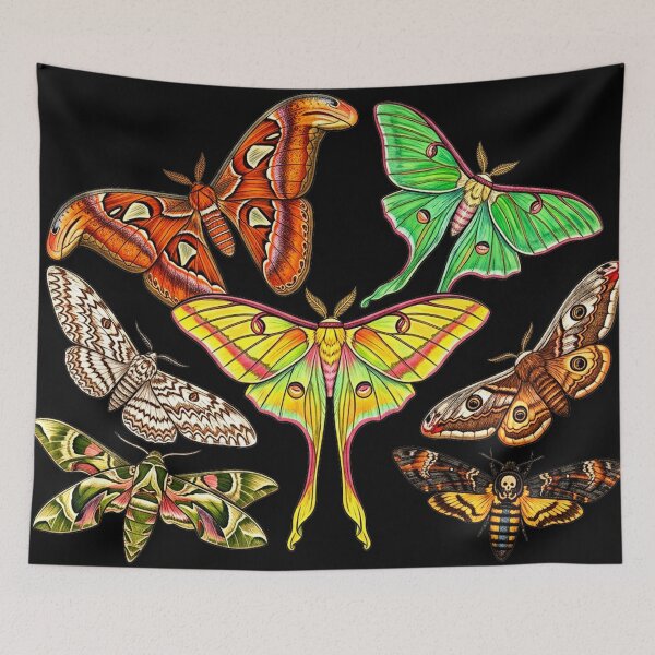 Item preview, Moths designed and sold by Ogfx.