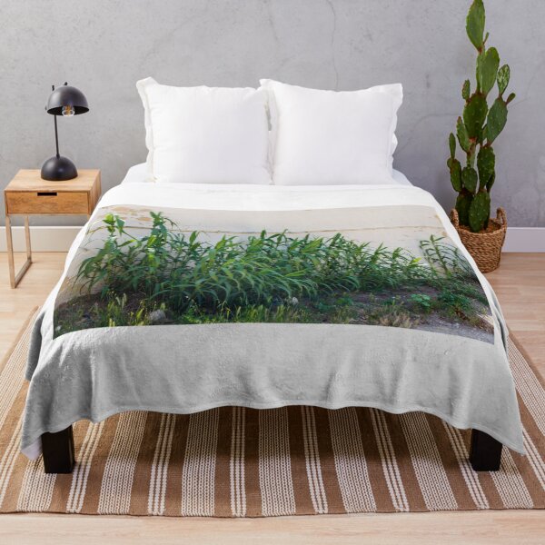 Item preview, Overgrown Tall Green Grasses And Weeds Growing Against A Weathered White Wall In An Urban Yard designed and sold by Nmallia.