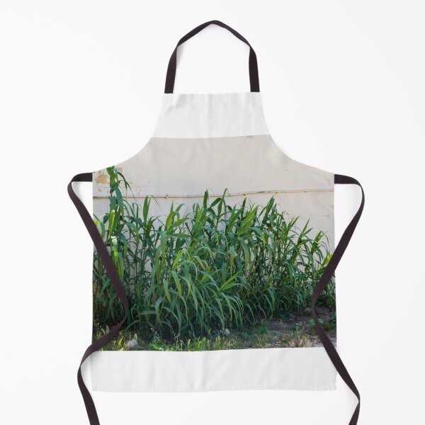 Item preview, Overgrown Tall Green Grasses And Weeds Growing Against A Weathered White Wall In An Urban Yard designed and sold by Nmallia.