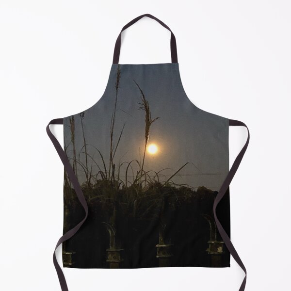 Item preview, Full Moon Harvest, no filter photograph designed and sold by GiSilver.