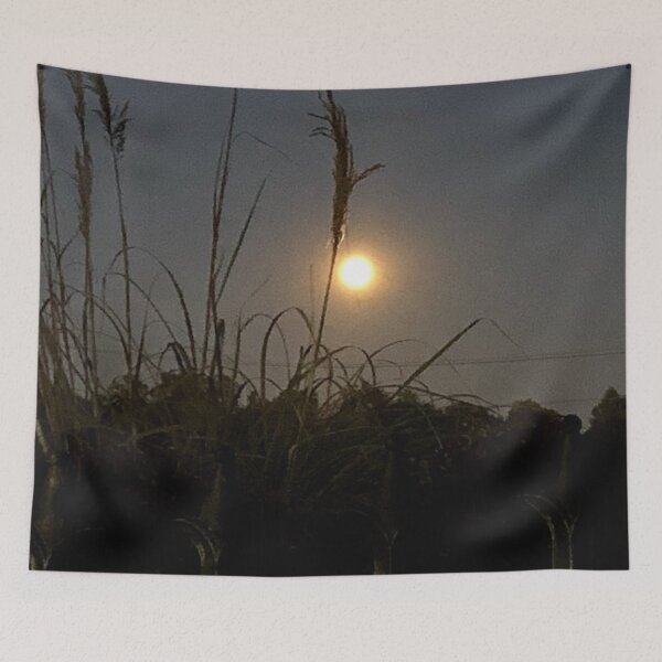 Item preview, Full Moon Harvest, no filter photograph designed and sold by GiSilver.