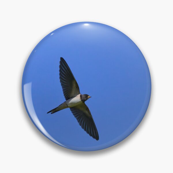 Item preview, Still short tails. Barn swallow designed and sold by Jouko Lehto Photography.
