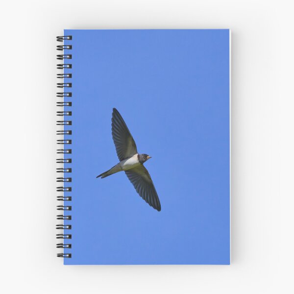 Item preview, Still short tails. Barn swallow designed and sold by Jouko Lehto Photography.