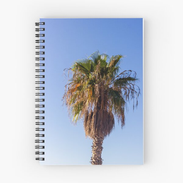 Item preview, Tall Palm Tree With Dry Fronds Against Clear Blue Sky On A Sunny Day designed and sold by Nmallia.