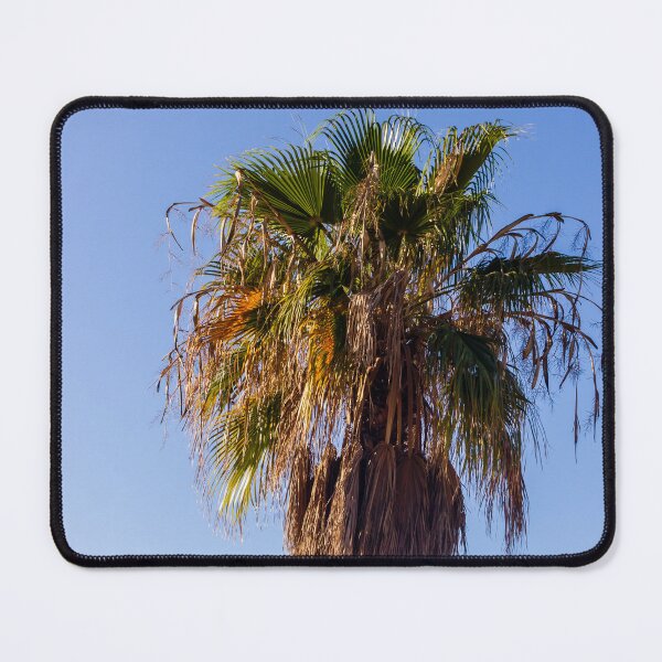 Item preview, Tall Palm Tree With Dry Fronds Against Clear Blue Sky On A Sunny Day designed and sold by Nmallia.