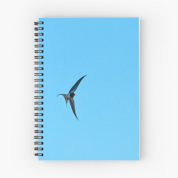 Item preview, The turn. Barn swallow designed and sold by Jouko Lehto Photography.