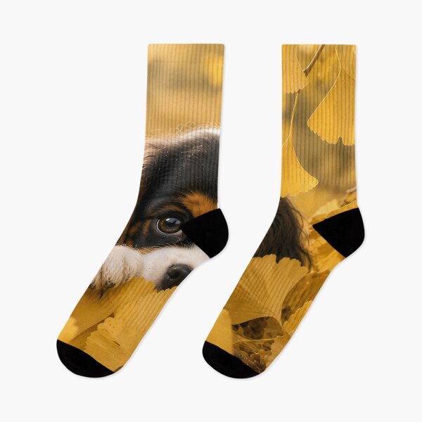 Item preview, Cavalier King Charles Spaniel Peeking Through Golden Ginkgo Leaves designed and sold by ManJiangHong.