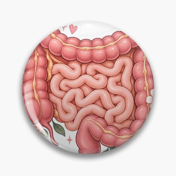 Item preview, Cute Intestines Anatomy Sticker – Medical Student Aesthetic designed and sold by saraharantes.