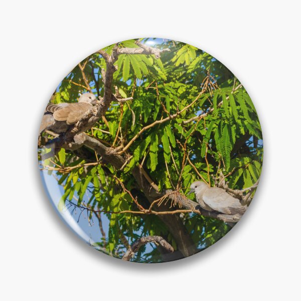 Item preview, Dove Pair Perched on Sunlit Tree Branches Against A Clear Blue Sky designed and sold by Nmallia.