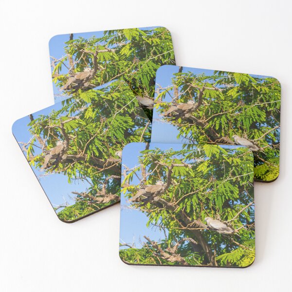 Item preview, Dove Pair Perched on Sunlit Tree Branches Against A Clear Blue Sky designed and sold by Nmallia.