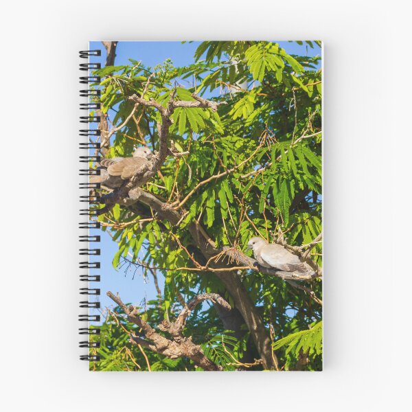 Item preview, Dove Pair Perched on Sunlit Tree Branches Against A Clear Blue Sky designed and sold by Nmallia.