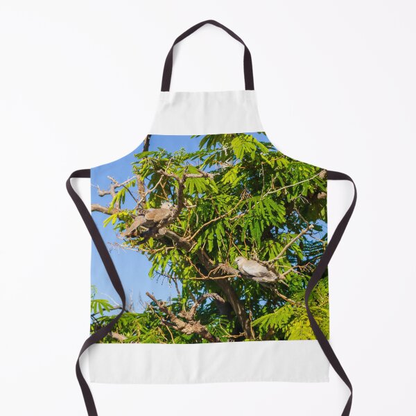 Item preview, Dove Pair Perched on Sunlit Tree Branches Against A Clear Blue Sky designed and sold by Nmallia.