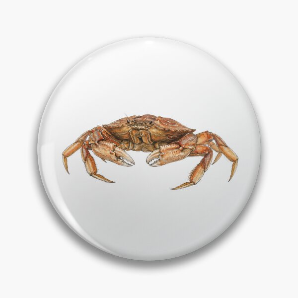Item preview, Realistic Watercolor Style Crab – Detailed Illustration designed and sold by Chaoscience.
