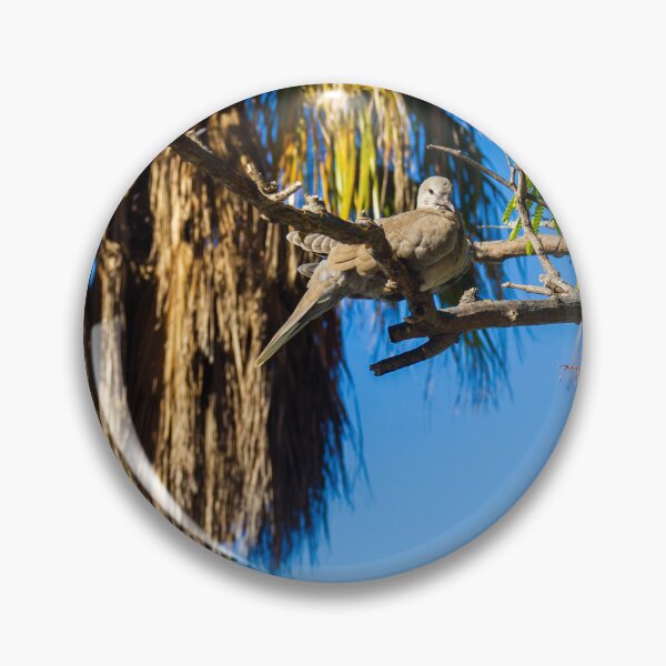 Item preview, Dove Pair Perched on Sunlit Tree Branches against a Clear Blue Sky designed and sold by Nmallia.