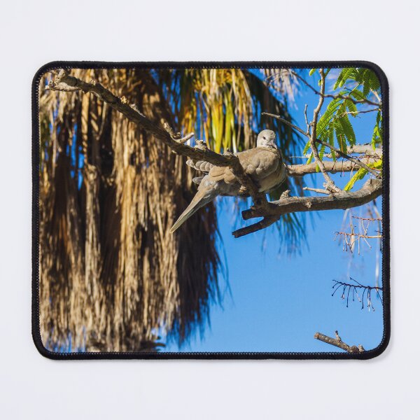 Item preview, Dove Pair Perched on Sunlit Tree Branches against a Clear Blue Sky designed and sold by Nmallia.