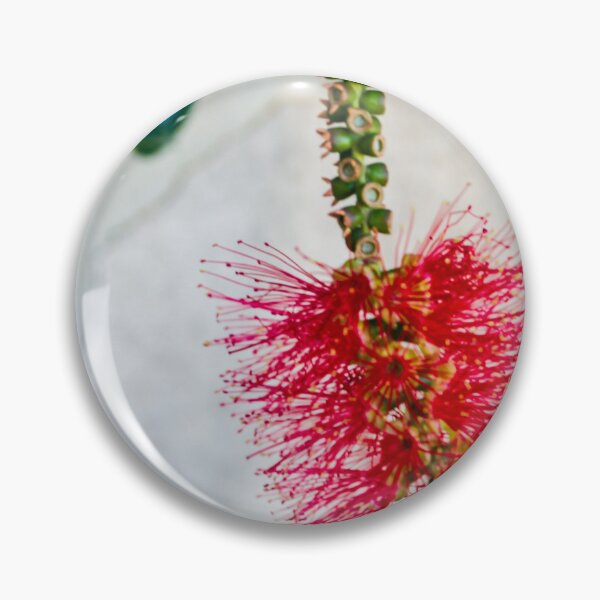 Item preview, Bright Red Bottlebrush Flower (Callistemon) Hanging in Soft Focus With Green Leaves designed and sold by Nmallia.