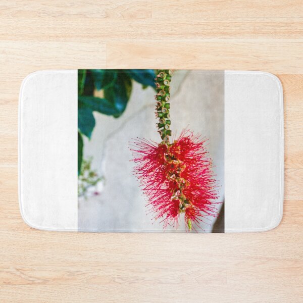 Item preview, Bright Red Bottlebrush Flower (Callistemon) Hanging in Soft Focus With Green Leaves designed and sold by Nmallia.