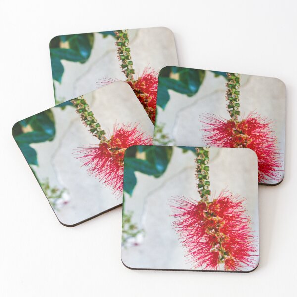 Item preview, Bright Red Bottlebrush Flower (Callistemon) Hanging in Soft Focus With Green Leaves designed and sold by Nmallia.
