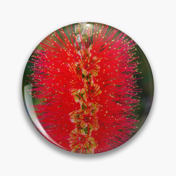Item preview, Bright Red Bottlebrush Flower (Callistemon) Hanging in Soft Focus With Green Leaves designed and sold by Nmallia.