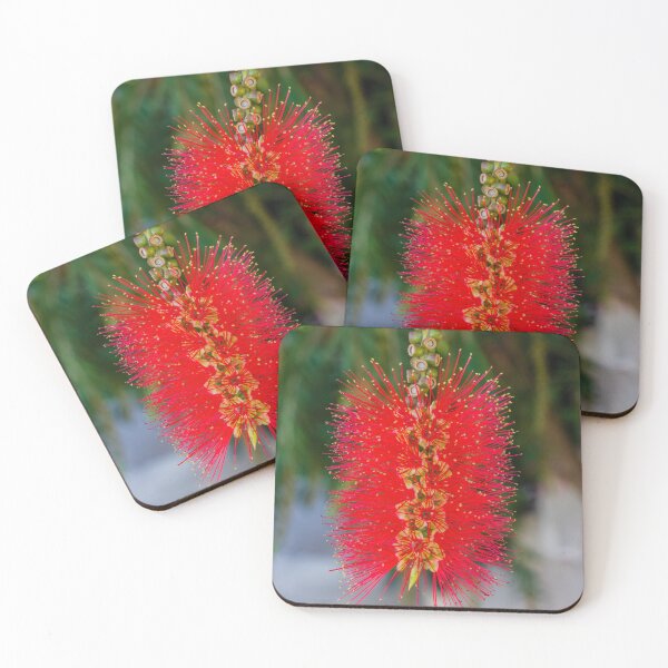 Item preview, Bright Red Bottlebrush Flower (Callistemon) Hanging in Soft Focus With Green Leaves designed and sold by Nmallia.