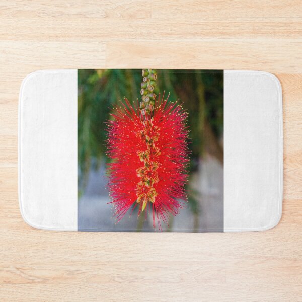 Item preview, Bright Red Bottlebrush Flower (Callistemon) Hanging in Soft Focus With Green Leaves designed and sold by Nmallia.