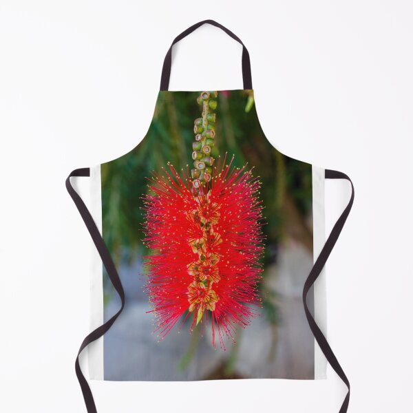 Item preview, Bright Red Bottlebrush Flower (Callistemon) Hanging in Soft Focus With Green Leaves designed and sold by Nmallia.