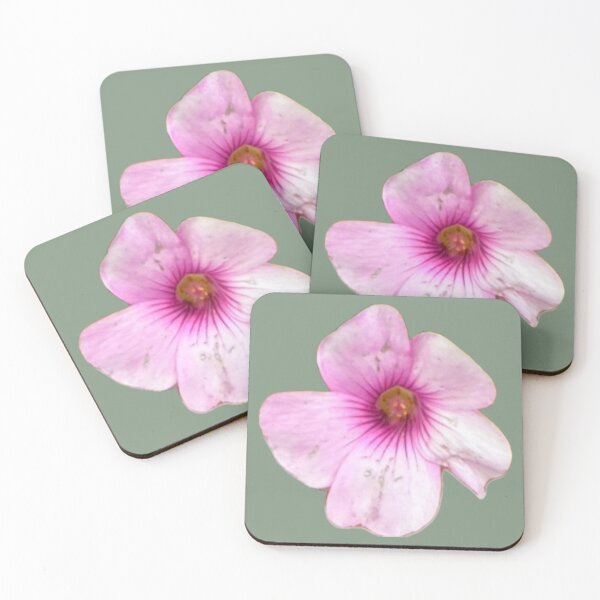 Item preview, Delicate Pink Wood Sorrel Oxalis Flower Cutout designed and sold by BalkanBloom.