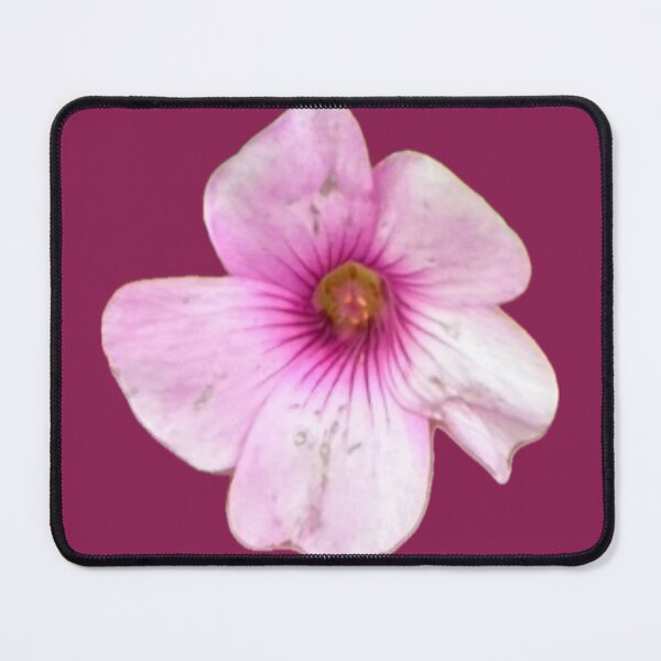 Item preview, Delicate Pink Wood Sorrel Oxalis Flower Cutout designed and sold by BalkanBloom.