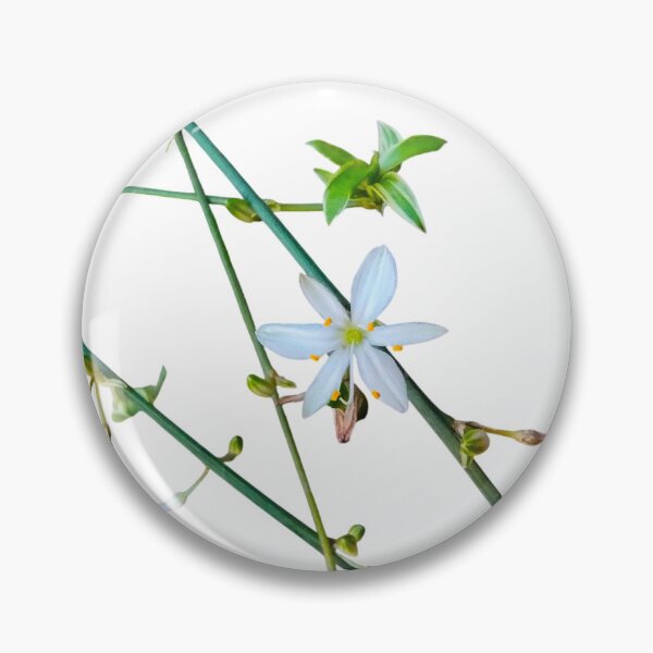 Item preview, White Flower Green Vines Spider Plant Photograph White Background designed and sold by BOKEbyTC.