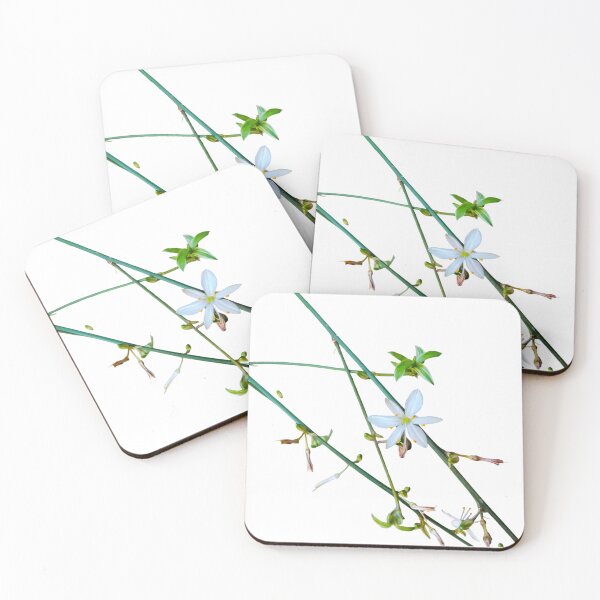 Item preview, White Flower Green Vines Spider Plant Photograph White Background designed and sold by BOKEbyTC.