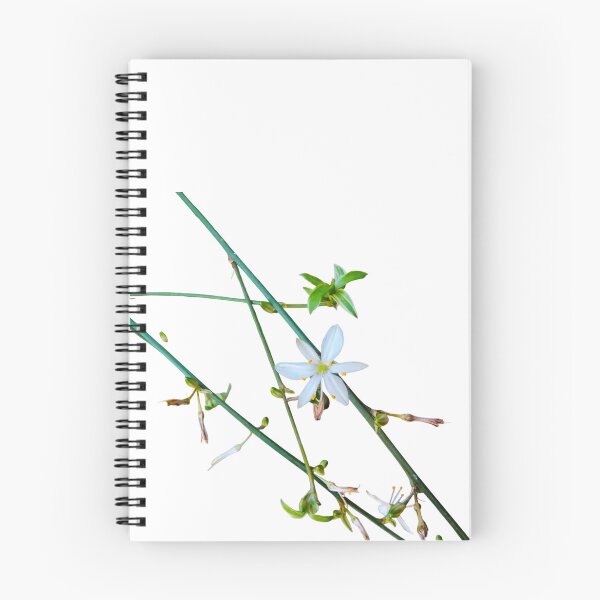 Item preview, White Flower Green Vines Spider Plant Photograph White Background designed and sold by BOKEbyTC.
