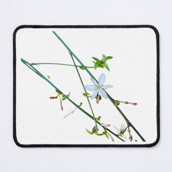 Item preview, White Flower Green Vines Spider Plant Photograph White Background designed and sold by BOKEbyTC.