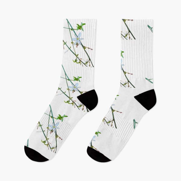 Item preview, White Flower Green Vines Spider Plant Photograph White Background designed and sold by BOKEbyTC.