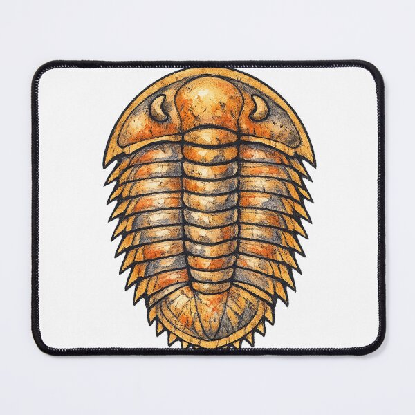 Item preview, Trilobite Fossil Prehistoric Sea Arthropod Specimen designed and sold by eignvalue.