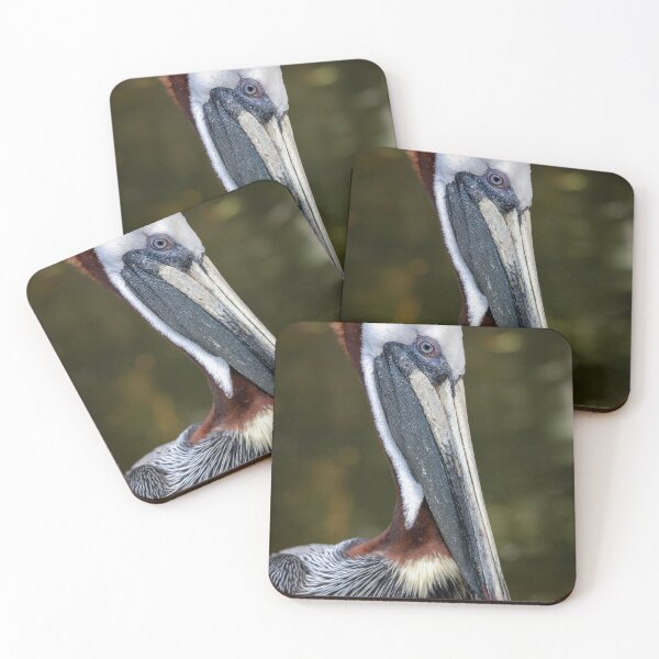 Item preview, Majestic Brown Pelican Close-Up designed and sold by Craig Bernstein.