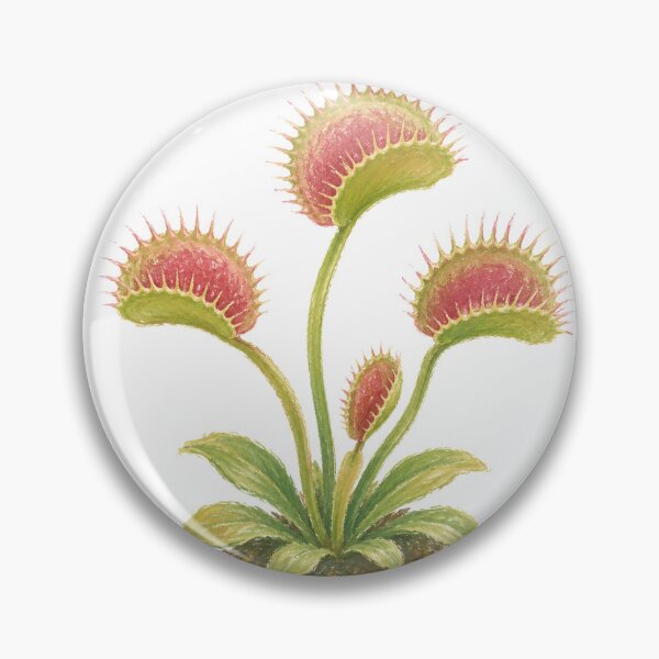 Item preview, Venus Flytrap Carnivorous Plant Botanical Study designed and sold by eignvalue.
