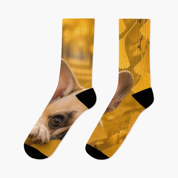 Item preview, French Bulldog Peeking Through Golden Ginkgo Leaves designed and sold by ManJiangHong.