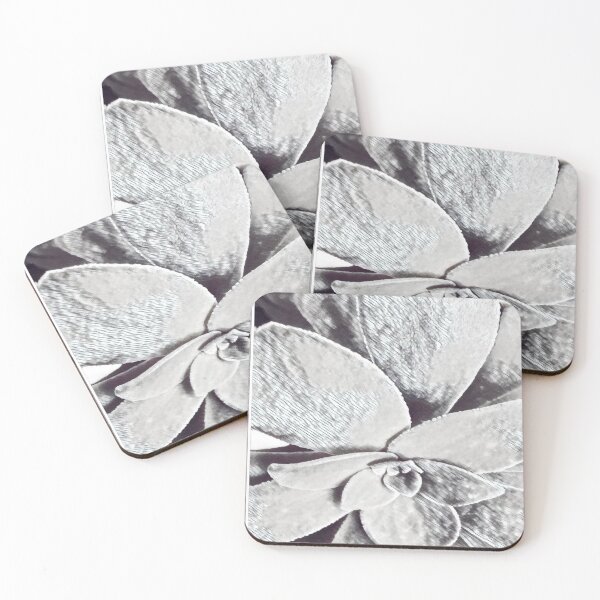 Item preview, Minimalist Black and White Succulent Sketch Nature Graphic designed and sold by BalkanBloom.