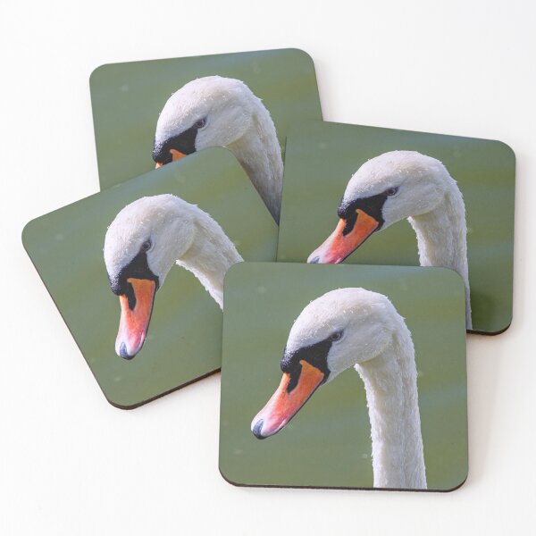 Item preview, Mute Swan Portrait designed and sold by Tom McPherson Photography.