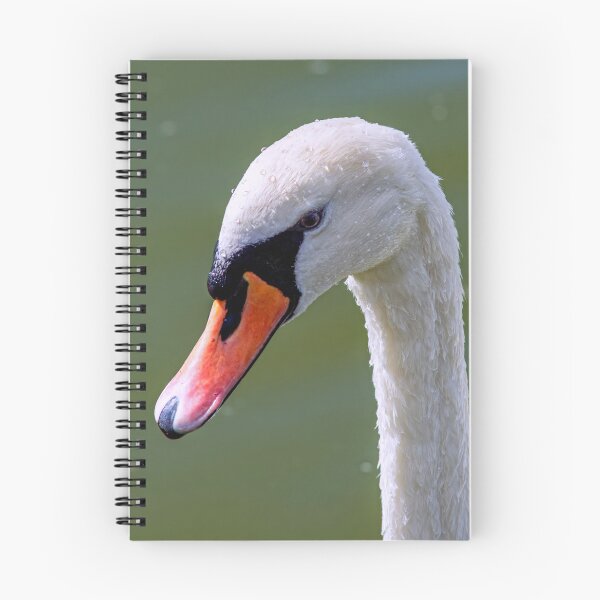 Item preview, Mute Swan Portrait designed and sold by Tom McPherson Photography.