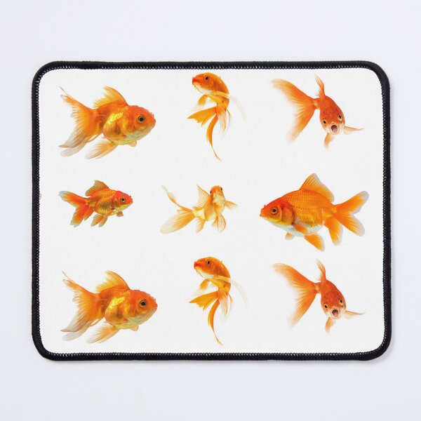 Item preview, Goldfish! designed and sold by noob publishing.