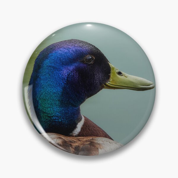 Item preview, Duck Detail designed and sold by Eidetic Photos.
