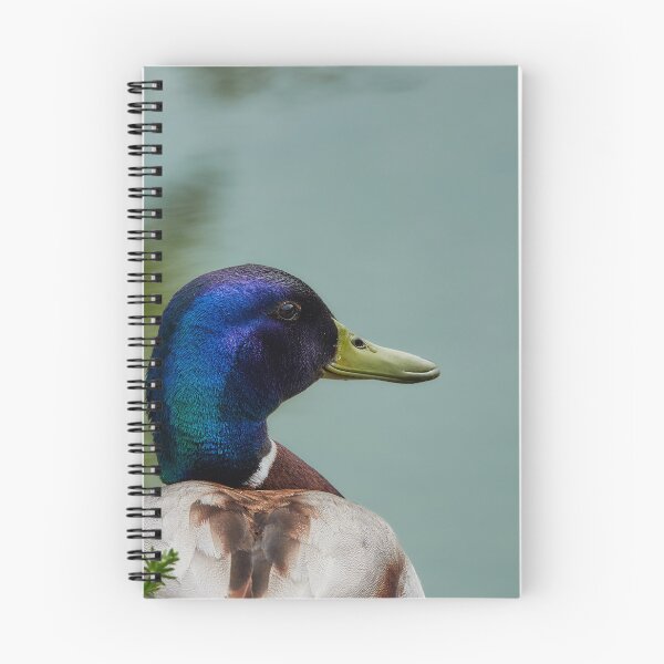 Item preview, Duck Detail designed and sold by Eidetic Photos.